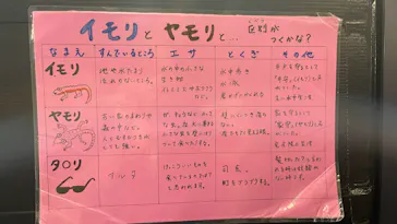 竹島水族館に投稿された画像（2026/8/22）