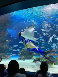 サンシャイン水族館に投稿された画像（2026/8/22）