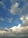 日本モンキーパークに投稿された画像（2026/8/22）