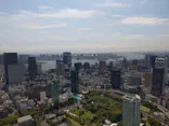 東京タワーに投稿された画像（2026/8/22）