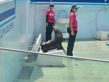 しながわ水族館に投稿された画像（2026/8/22）