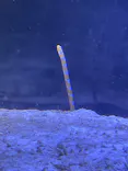 名古屋港水族館に投稿された画像（2026/8/22）