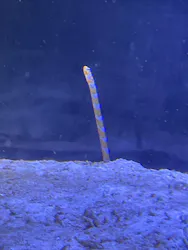 名古屋港水族館に投稿された画像（2026/8/22）