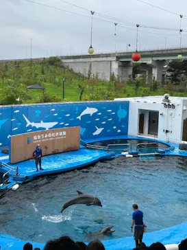 仙台うみの杜水族館に投稿された画像（2026/8/22）