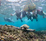 OCEAN LIFE 宮古島に投稿された画像（2026/8/22）