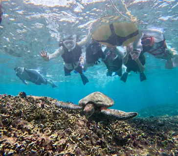 OCEAN LIFE 宮古島に投稿された画像（2026/8/22）