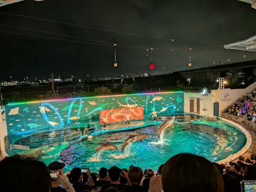 仙台うみの杜水族館に投稿された画像（2026/8/22）