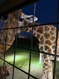 那須サファリパークに投稿された画像（2026/8/22）