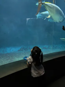 葛西臨海水族園に投稿された画像（2026/8/22）