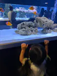 すみだ水族館に投稿された画像（2026/8/22）