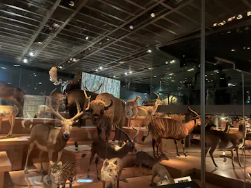 特別展「いきもの超ワールド展　国立科学博物館×ダーウィンが来た！」（国立科学博物館）に投稿された画像（2026/8/22）