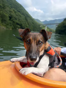 ネイチャープラネットに投稿された画像（2026/8/22）