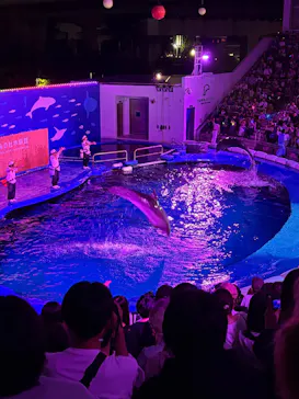 仙台うみの杜水族館に投稿された画像（2026/8/22）