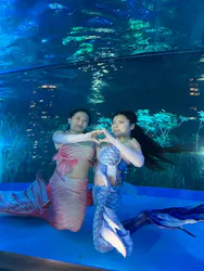 サンシャイン水族館に投稿された画像（2026/8/22）