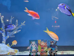 サンシャイン水族館に投稿された画像（2026/8/22）