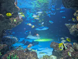 サンシャイン水族館に投稿された画像（2026/8/22）