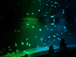 サンシャイン水族館に投稿された画像（2026/8/22）
