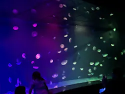 サンシャイン水族館に投稿された画像（2026/8/22）