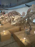 福井県立恐竜博物館に投稿された画像（2026/8/23）
