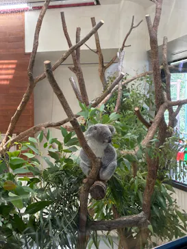こども動物自然公園（埼玉県公園緑地協会）に投稿された画像（2026/8/23）