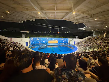 仙台うみの杜水族館に投稿された画像（2026/8/23）