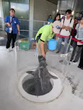 しながわ水族館に投稿された画像（2026/8/23）