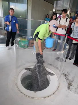 しながわ水族館に投稿された画像（2026/8/23）