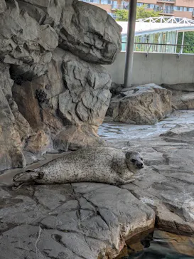 しながわ水族館に投稿された画像（2026/8/23）