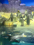 天王寺動物園に投稿された画像（2026/8/23）