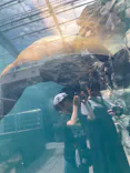 環境水族館アクアマリンふくしまに投稿された画像（2026/8/23）