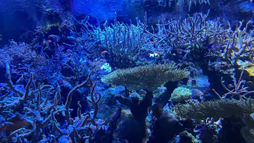 名古屋港水族館に投稿された画像（2026/8/23）