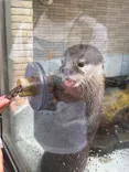 下田海中水族館に投稿された画像（2026/8/23）