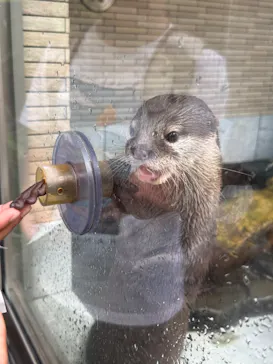 下田海中水族館に投稿された画像（2026/8/23）