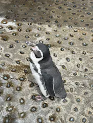 下田海中水族館に投稿された画像（2026/8/23）