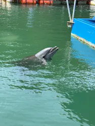 下田海中水族館に投稿された画像（2026/8/23）