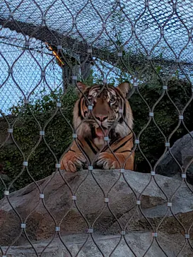 名古屋市東山動植物園に投稿された画像（2026/8/23）