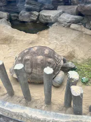 恩賜上野動物園に投稿された画像（2026/8/23）