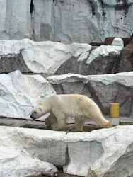 恩賜上野動物園に投稿された画像（2026/8/23）