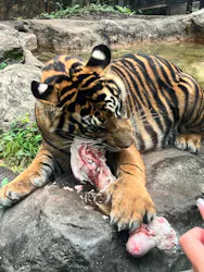 恩賜上野動物園に投稿された画像（2026/8/23）