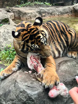 恩賜上野動物園に投稿された画像（2026/8/23）