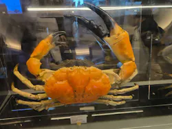 アクアワールド茨城県大洗水族館に投稿された画像（2026/8/23）