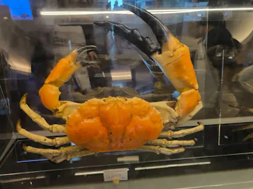 アクアワールド茨城県大洗水族館に投稿された画像（2026/8/23）