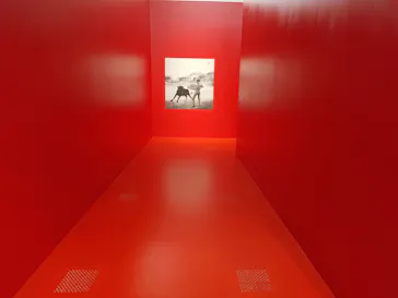 ピカソ meets ポール・スミス　遊び心の冒険へに投稿された画像（2026/8/23）