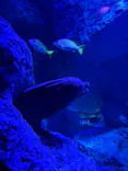 すみだ水族館に投稿された画像（2026/8/23）