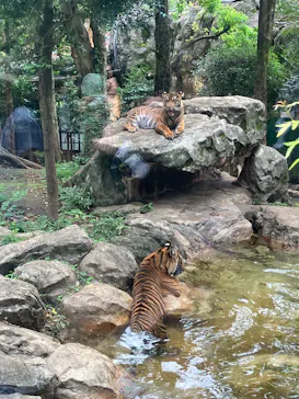 恩賜上野動物園に投稿された画像（2026/8/23）