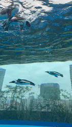 サンシャイン水族館に投稿された画像（2026/8/23）