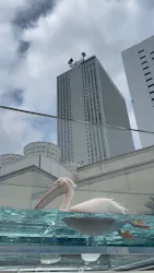 サンシャイン水族館に投稿された画像（2026/8/23）