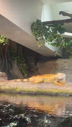 サンシャイン水族館に投稿された画像（2026/8/23）