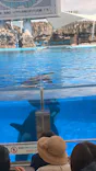 名古屋港水族館に投稿された画像（2026/8/23）