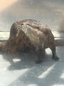 大分マリーンパレス水族館 「うみたまご」に投稿された画像（2026/8/23）